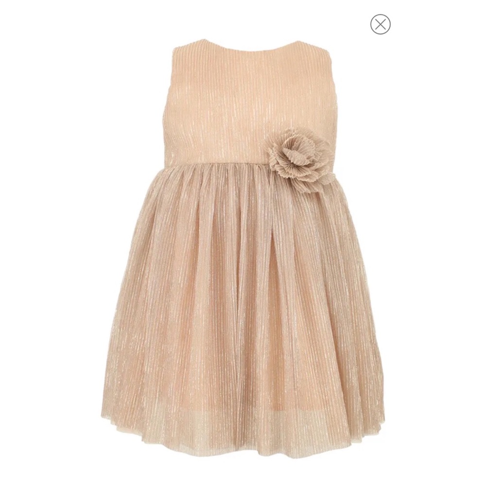 Blush Popatu Shimmer Dress